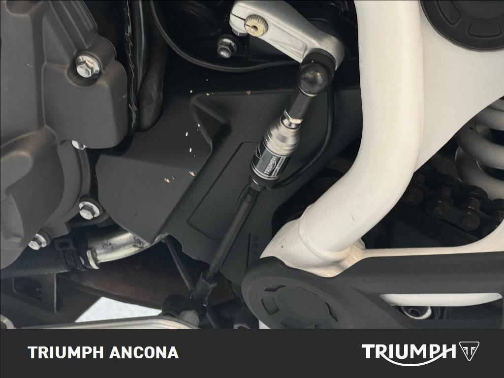 TRIUMPH Tiger 900 Rally Pro Abs